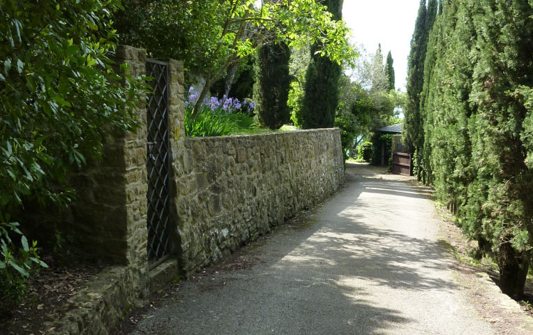 Drive and Entrance